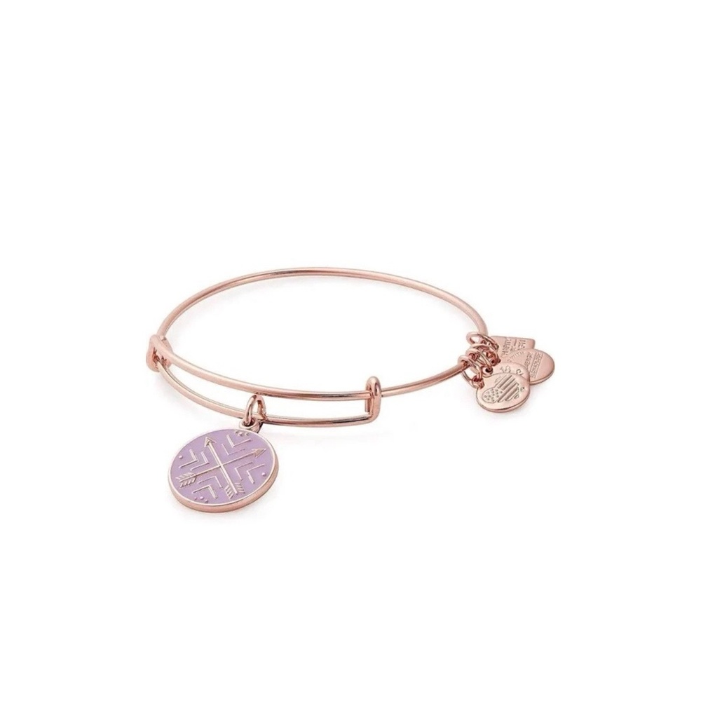 Alex and Ani Arrows of Friendship Shiny Rose Gold Charm Bangle